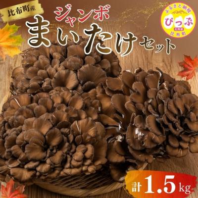 ふるさと納税 比布町 ジャンボまいたけ 1.5kg(500g×3)セット[遠藤農産]