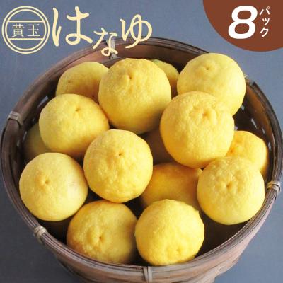 ふるさと納税 香南市 &lt;2026年11月以降順次配送&gt;花柚子 はなゆ黄玉 8パック 国産 柚子 hy-0003