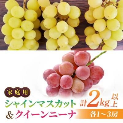 ふるさと納税 東御市 [先行受付2026年発送]家庭用シャインマスカット&amp;クイーンニーナ 合計2kg以上(各1〜3房)