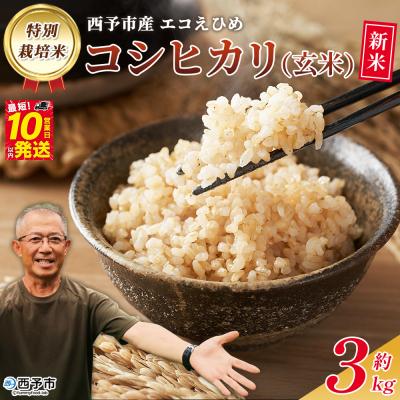 ふるさと納税 西予市 新米&lt;令和7年産 西予市産 特別栽培米 エコえひめ コシヒカリ 玄米 約3kg&gt;国産