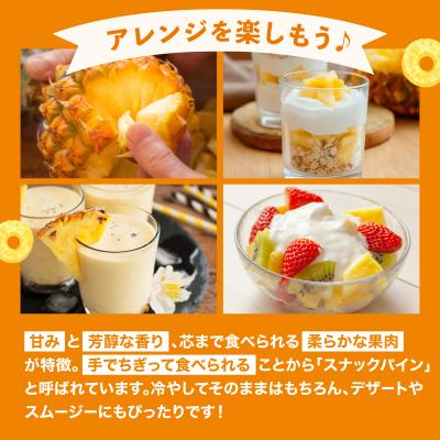 ふるさと納税 石垣市 訳あり 石垣島産 スナックパイン 約4kg(4〜10個)【2026年4月中旬発送】 |  | 02