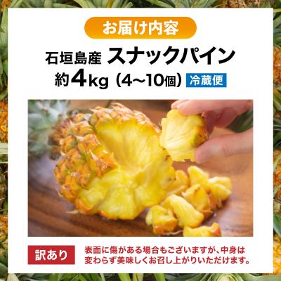 ふるさと納税 石垣市 訳あり 石垣島産 スナックパイン 約4kg(4〜10個)【2026年4月中旬発送】 |  | 03