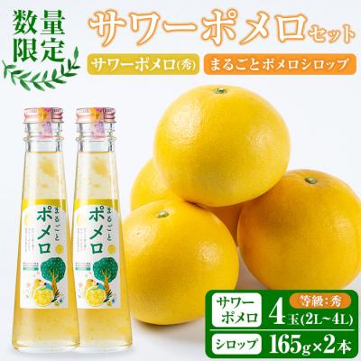 ふるさと納税 いちき串木野市 先行予約期間限定・数量限定 西果樹園のサワーポメロ(4玉)&amp;まるごとポメロシロップ(165g×2本)