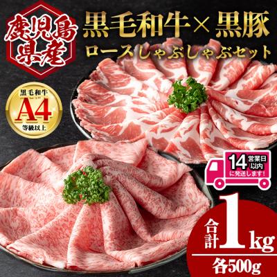 ふるさと納税 曽於市 鹿児島県産黒毛和牛ロース×黒豚肩ロースしゃぶしゃぶセット (合計1kg・各500g)