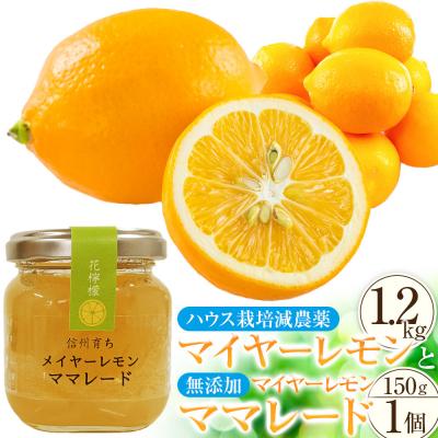 ふるさと納税 宮田村 (先行受付)[南信州レモン]ハウス栽培減農薬「マイヤーレモン」と無添加「マイヤーレモン ママレード」