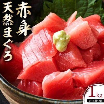 ふるさと納税 川崎市 天然 マグロ 赤身 1kg ( 200g × 5柵 )