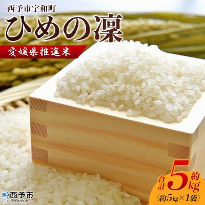 ふるさと納税 西予市 新米&lt;令和7年産 愛媛県推進米 ひめの凜 約5kg&gt; お米