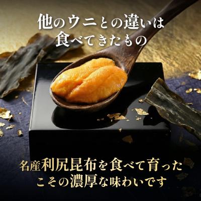 ふるさと納税 利尻町 【2027年発送受付】利尻島産「浜直」塩水生うに100g (100g×1) 天然キタムラサキウニ |  | 02