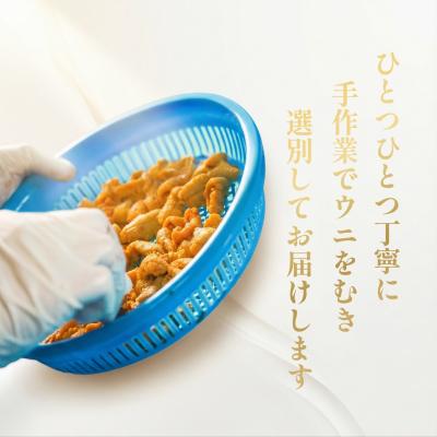 ふるさと納税 利尻町 【2027年発送受付】利尻島産「浜直」塩水生うに100g (100g×1) 天然キタムラサキウニ |  | 03