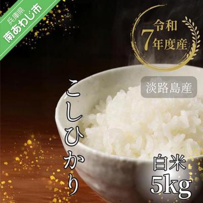 ふるさと納税 南あわじ市 令和7年産 淡路島産こしひかり 白米5kg