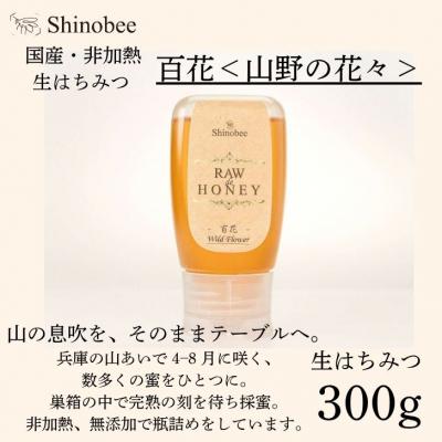 ふるさと納税 宍粟市 国産・非加熱 生はちみつ 300g 百花〈山野の花々