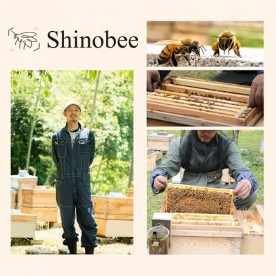 ふるさと納税 宍粟市 国産・非加熱 生はちみつ 300g 百花〈山野の花々