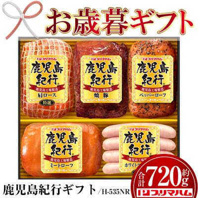 ふるさと納税 いちき串木野市 [令和7年お歳暮期間限定]鹿児島紀行ギフト H-535NR 肩ロース・焼豚等 5種 詰合せ セット