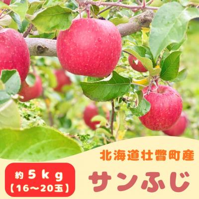 ふるさと納税 壮瞥町 ファームアグリエイトのりんご「サンふじ」 約5kg(16〜20玉)S