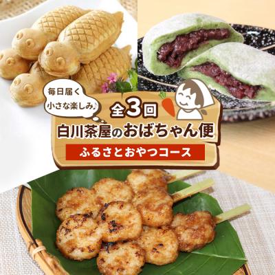 ふるさと納税 東白川村 定期便全3回 ふるさとおやつセット 白川茶屋のおばちゃん便 五平餅 つちのこ焼き 草大福餅 白川茶屋