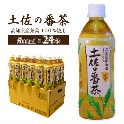 ふるさと納税 佐川町 土佐の番茶 500ml×24本 1ケース JA高知県 佐川町産茶葉使用
