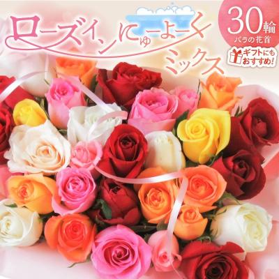 ふるさと納税 碧南市 [日付指定も可能]ローズインにゅーよーくミックス30輪 バラ30輪詰め合わせ お花