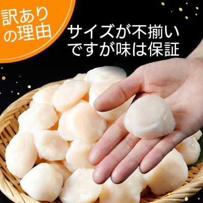 ふるさと納税 むつ市 陸奥湾産ほたて貝柱 玉冷1kg(500g×2) 刺身用 サイズ不揃い 訳ありの画像