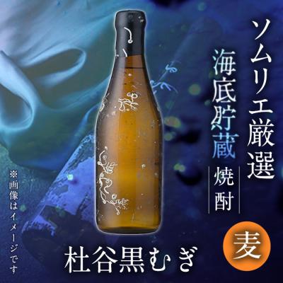 ふるさと納税 佐伯市 海底貯蔵 麦焼酎 杜谷 黒むぎ (720ml・1本)