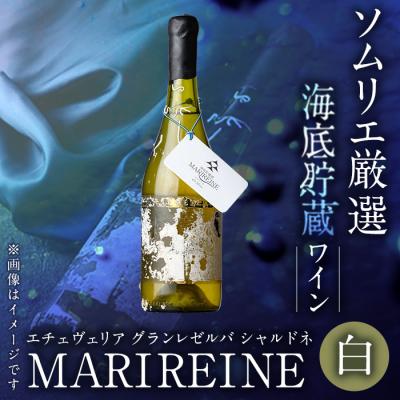 ふるさと納税 佐伯市 海底貯蔵ワイン 白 MARIREINE エチェヴェリア グランレゼルバ シャルドネ2022