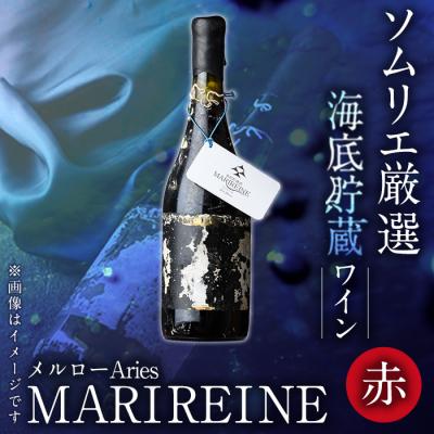 ふるさと納税 佐伯市 海底貯蔵ワイン 赤 MARIREINE メルローAries2023 (720ml・1本)