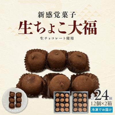ふるさと納税 角田市 生ちょこ大福 12個入×2箱