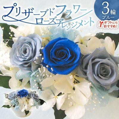 ふるさと納税 碧南市 [日付指定可能] プリザーブドフラワーローズ3輪アレンジメント ブルー バラ