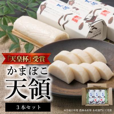 ふるさと納税 天草市 天皇杯受賞 かまぼこ天領3本セット