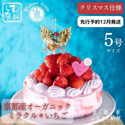 ふるさと納税 京都市 [数量限定・先行予約][むしやしない]京都産オーガニックミラクル*いちご クリスマスケーキ5号