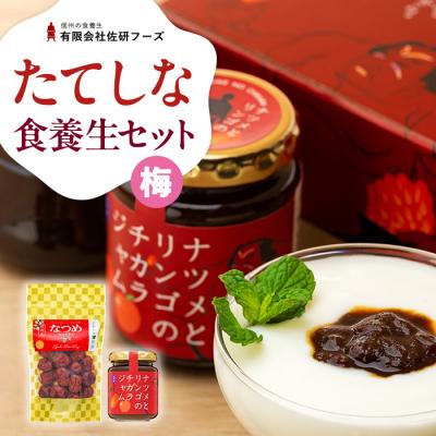 ふるさと納税 立科町 たてしななつめ食養生セット(梅)