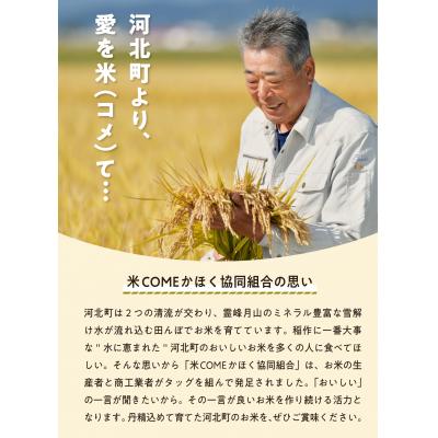 ふるさと納税 河北町 【令和7年産米】最短1週間程度発送 はえぬき20kg 山形県産 【米COMEかほく】_1