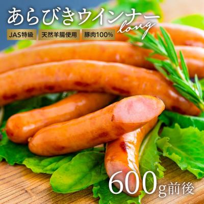 ふるさと納税 豊後高田市 [R8年2月配送] あらびき ウインナー 600g前後(4、5人前) ウインナー ソーセージ お弁当