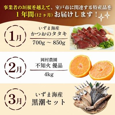 ふるさと納税 室戸市 [定期便 12回]室戸まるごと定期便 人気の品12か月お届けコース