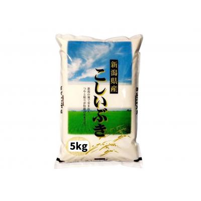 ふるさと納税 阿賀野市 [令和7年産]新潟産 こしいぶき 5kg 白米 精米