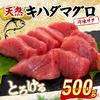 ふるさと納税 室戸市 天然キハダマグロ 500g 刺身用柵 赤身 刺身 室戸市産