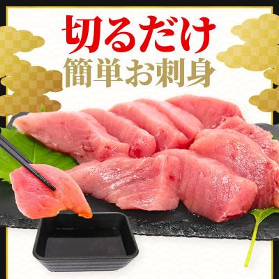 ふるさと納税 室戸市 天然キハダマグロ 500g 刺身用柵 赤身 刺身 室戸市産 |  | 02