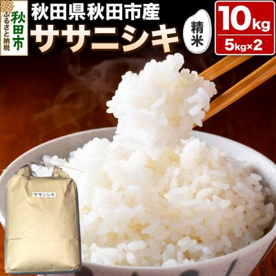 ふるさと納税 秋田市 令和7年産 秋田県秋田市産 ササニシキ 精米 10kg(5kg×2袋) |15_kjd-021001