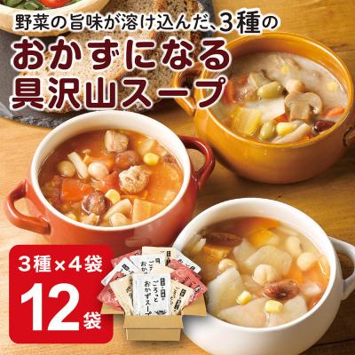 ふるさと納税 名古屋市 3種のごろっとおかずスープセット　12袋(3種×4袋)　 | 