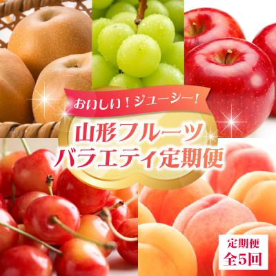 ふるさと納税 大江町 おいしい!ジューシー!山形フルーツバラエティ定期便[定期便全5回]