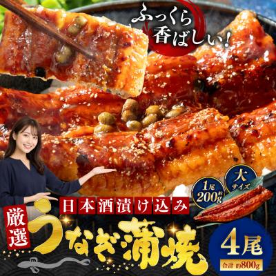 ふるさと納税 釧路市 うなぎ蒲焼 200g×4尾セット 職人 手焼き 真空 冷凍 北海道 ウナギ 鰻 かばやき | 
