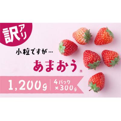 ふるさと納税 新宮町 [訳あり.限定品]あまおう.小粒ですが約1200g(2026年1月以降発送)[あまおう]