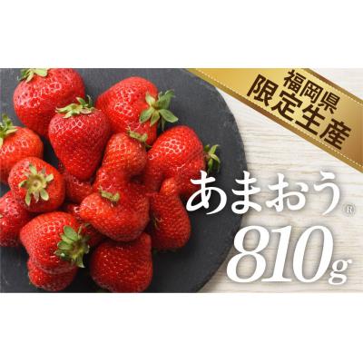 ふるさと納税 新宮町 人気1位獲得謝礼品★限定品★あまおう約810g(2026年1月以降発送)[あまおう]