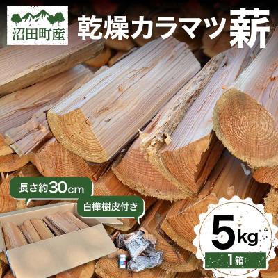 ふるさと納税 沼田町 沼田町産 乾燥カラマツ薪 長さ約30cm 5kg 白樺樹皮付き キャンプ アウトドア n-0089