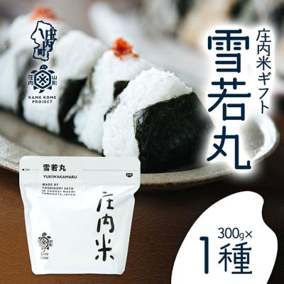 ふるさと納税 庄内町 山形庄内かめこめプロジェクト 庄内米ギフト 雪若丸 300g×1袋 令和7年産 2025年産