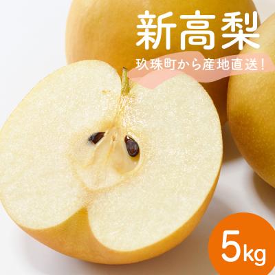 ふるさと納税 玖珠町 [先行受付]新高 5kg(なかしま農園)