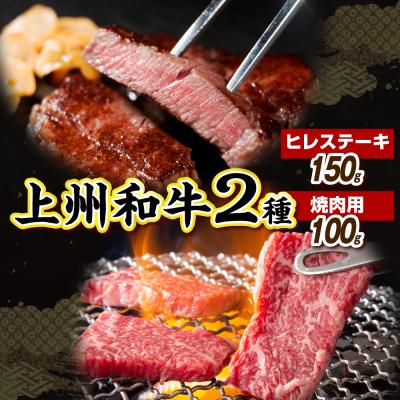 ふるさと納税 千代田町 上州和牛 ヒレステーキ150g&amp;焼肉用100g 計250g (冷凍) ch048-013
