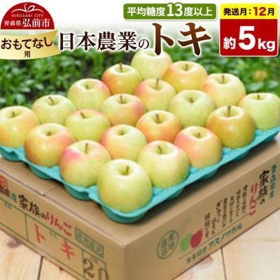 ふるさと納税 弘前市 [26年12月発送]りんご トキ[おもてなし用]約5kg|24_nng-060501bg