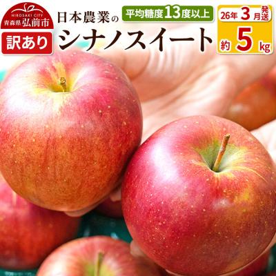 ふるさと納税 弘前市 りんご [26年3月出荷] シナノスイート 約5kg 訳あり|24_nng-070501aj