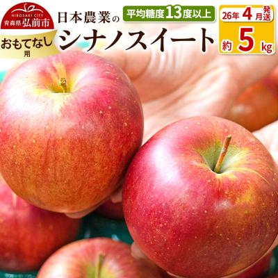 ふるさと納税 弘前市 りんご[26年4月出荷]シナノスイート約5kg おもてなし用CA貯蔵|24_nng-070501bk