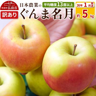 ふるさと納税 弘前市 りんご [26年1月出荷] ぐんま名月 約5kg 訳あり|24_nng-090501ah